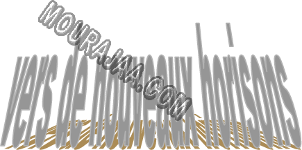 Livre parascolaire-Français-6 ème année primaire